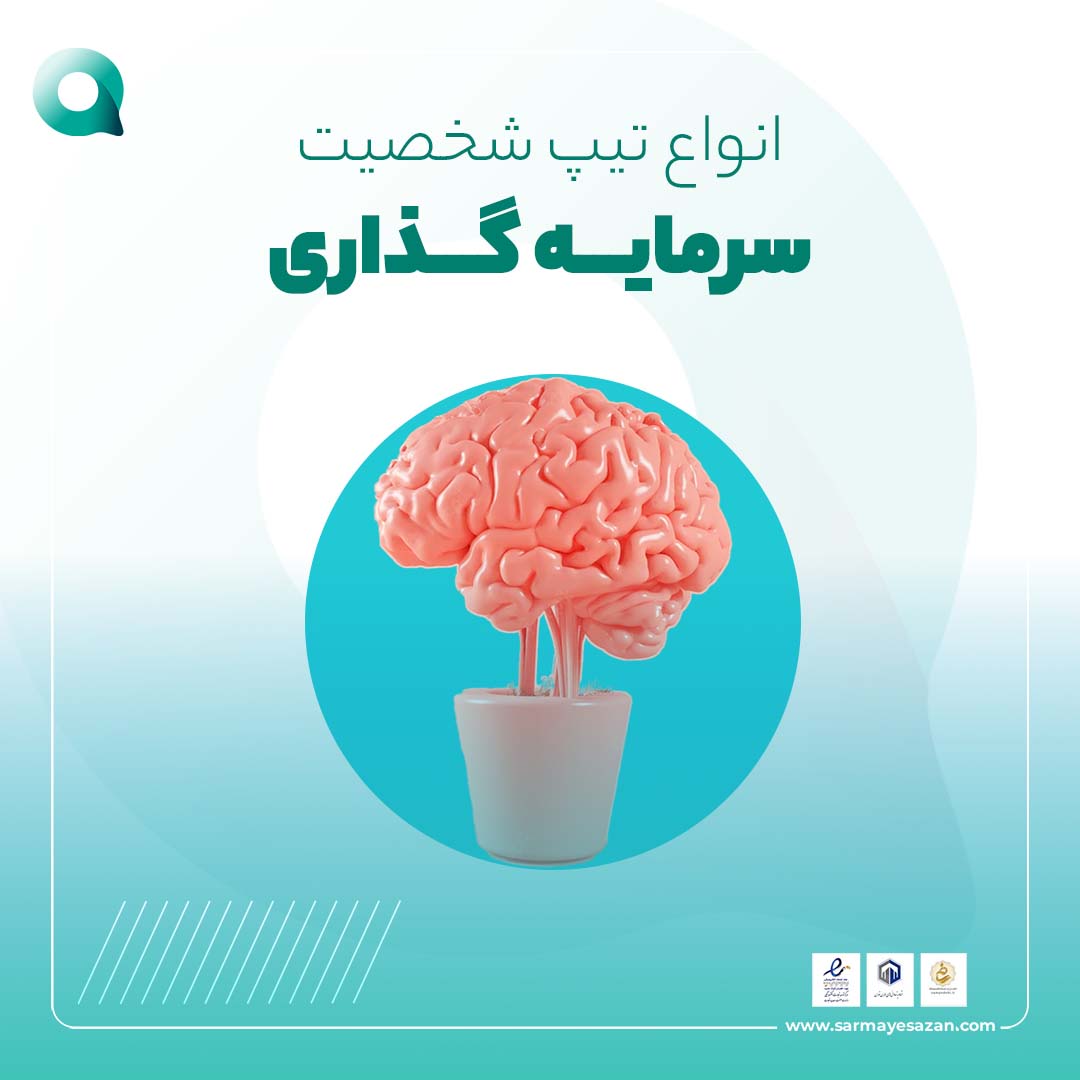 انواع تیپ شخصیت سرمایه گذاری