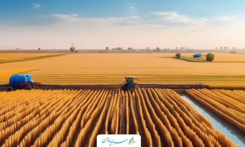 سرمایه گذاری در کشاورزی خوزستان